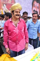 Balakrishna New Photo Gallery